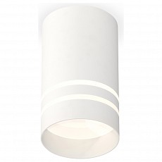 Накладной светильник ambrella light xs xs7421022